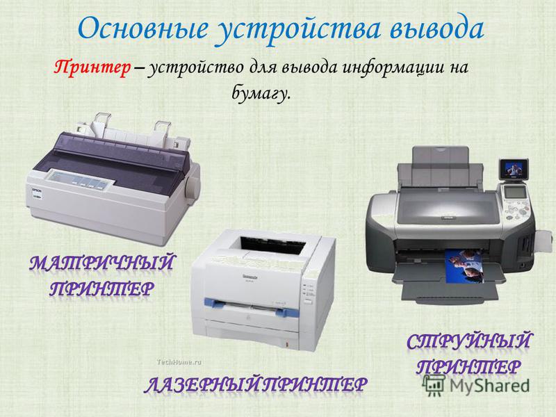 средство для вывода паразитов из организма человека средство для вывода паразитов из организма человека