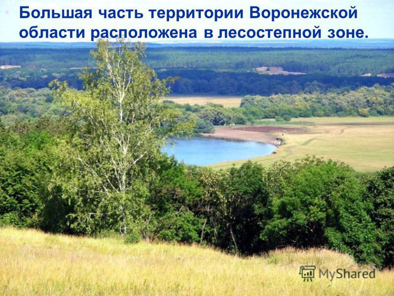Большая часть территории Воронежской области расположена в лесостепной зоне.