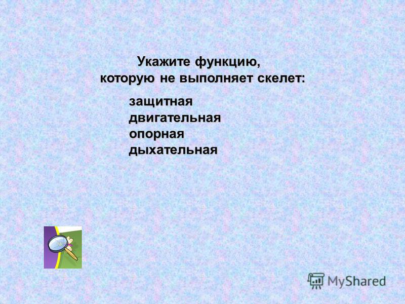 Кожа не выполняет функцию тест с ответами Кожа не выполняет функцию тест с ответами