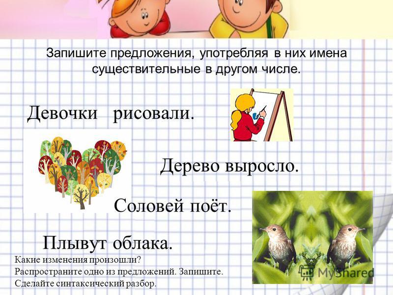 Брюки Число Множественное