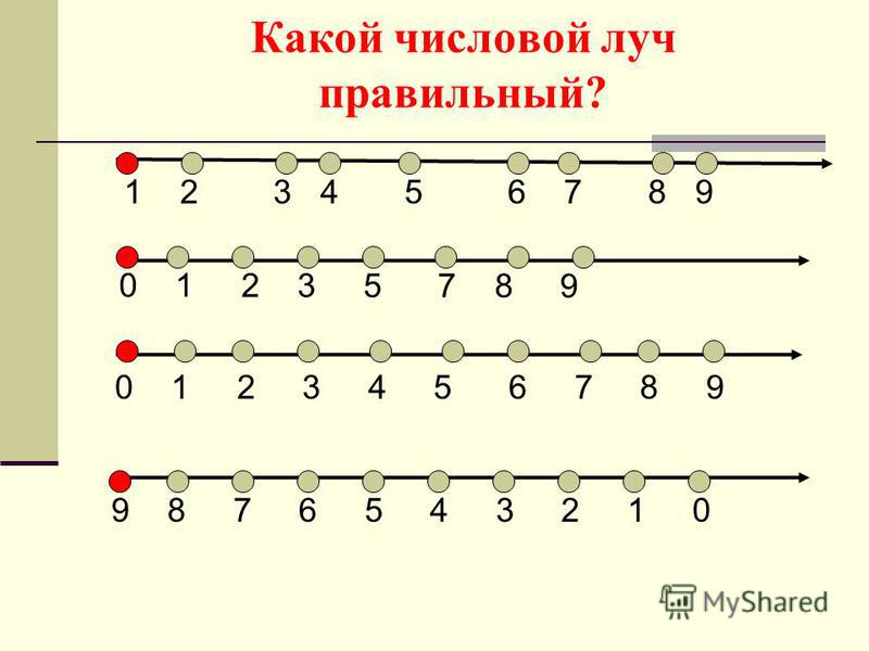 Числовой луч для 1 класса