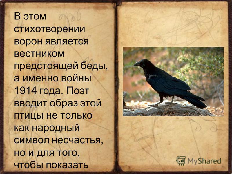 Весь стих ворона блок Весь стих ворона блок