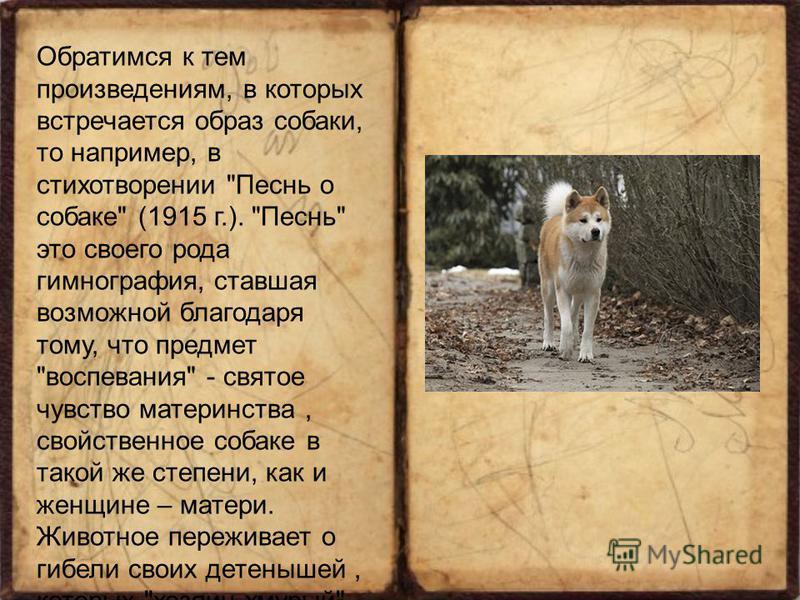 В память о человеке которого уже нет проза В память о человеке которого уже нет проза