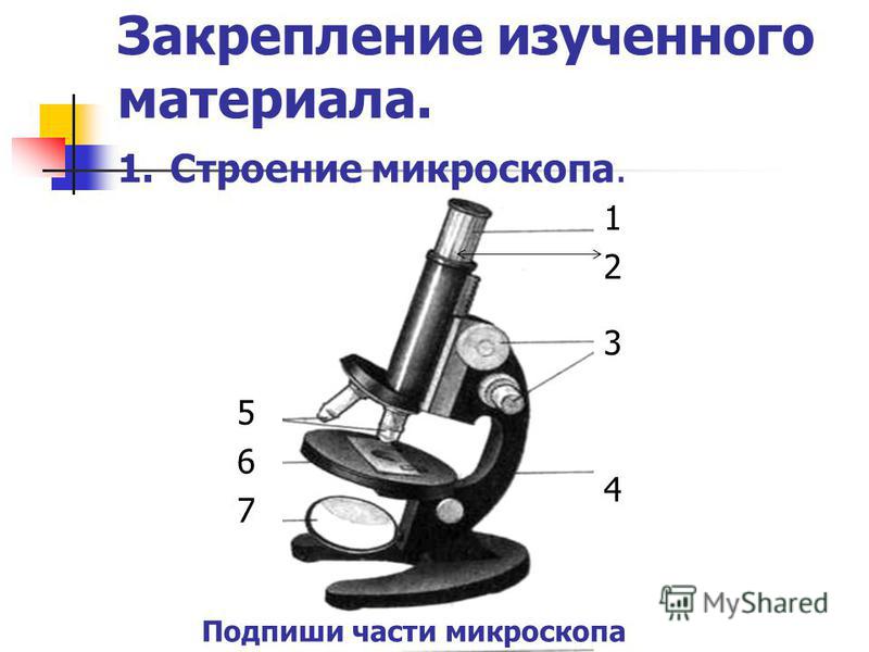 Закрепление изученного материала. 1. Строение микроскопа. 1 2 3 4 5 6 7 Подпиши части микроскопа