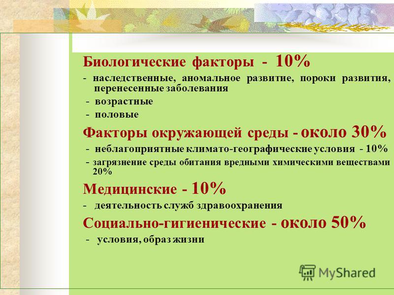 Симптомы боли в желудке у кошек