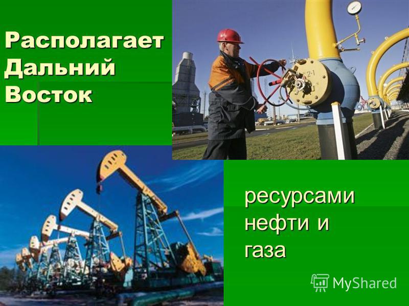 Природно-ресурсный потенциал Дальнего Востока Природно-ресурсный потенциал Дальнего Востока