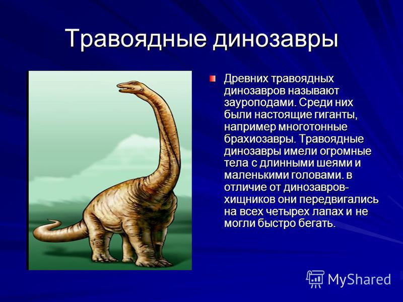 Древних травоядных динозавров называют зауроподами. Среди них были настоящие гиганты, например многотонные брахиозавры. Травоядные динозавры имели огромные тела с длинными шеями и маленькими головами. в отличие от динозавров- хищников они передвигали