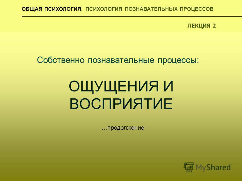 Контрольная работа по теме Познавательные процессы. Ощущение и восприятие