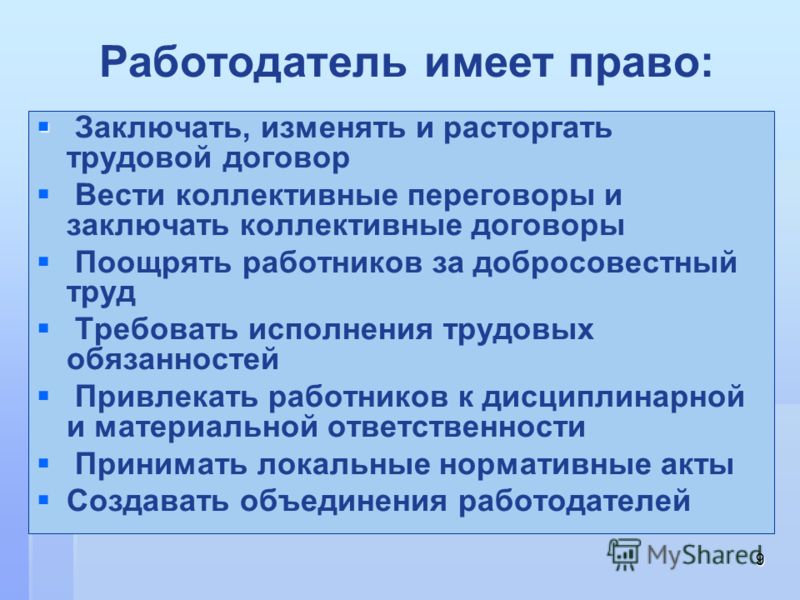 Календарь животных на новый год