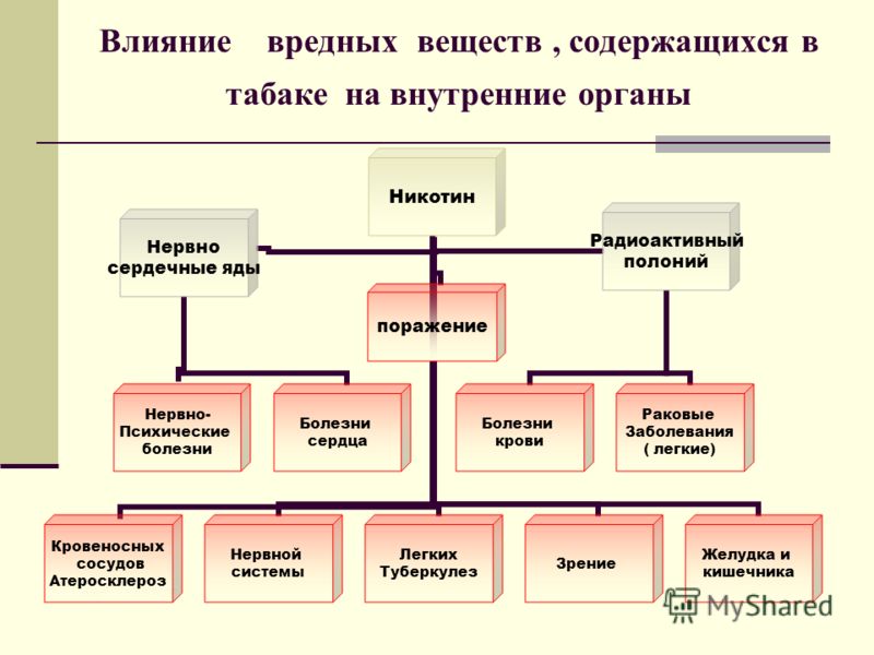 Волнистого попугая болит лапка что делать