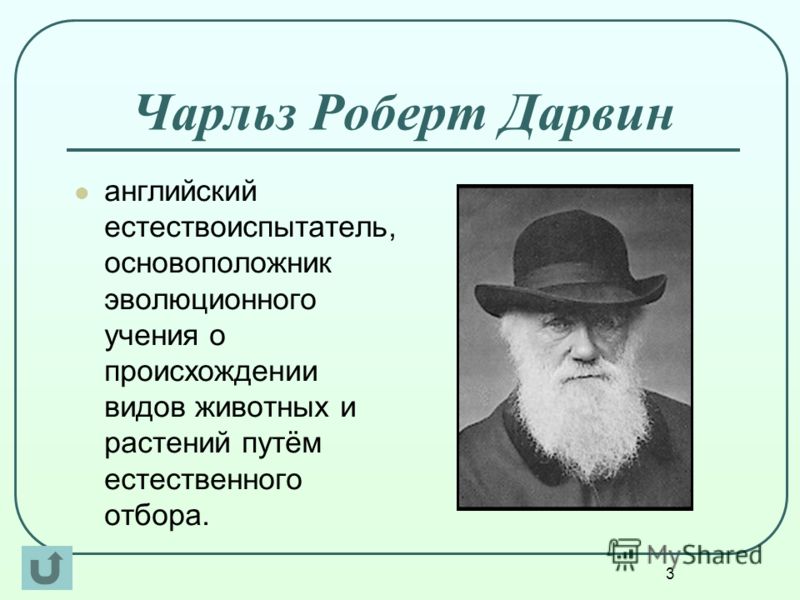 Рабочая программа по технологии лутцева 1 2 класс
