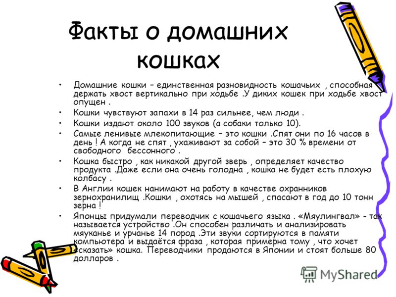 должностная инструкция зама по производству