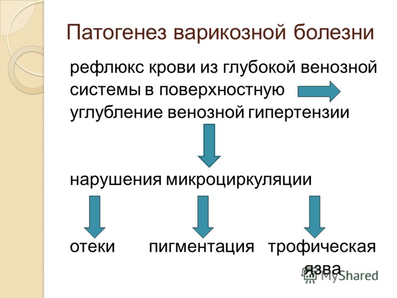 Областная клиника флебологии и сосудистой хирургии им вишневского воронеж