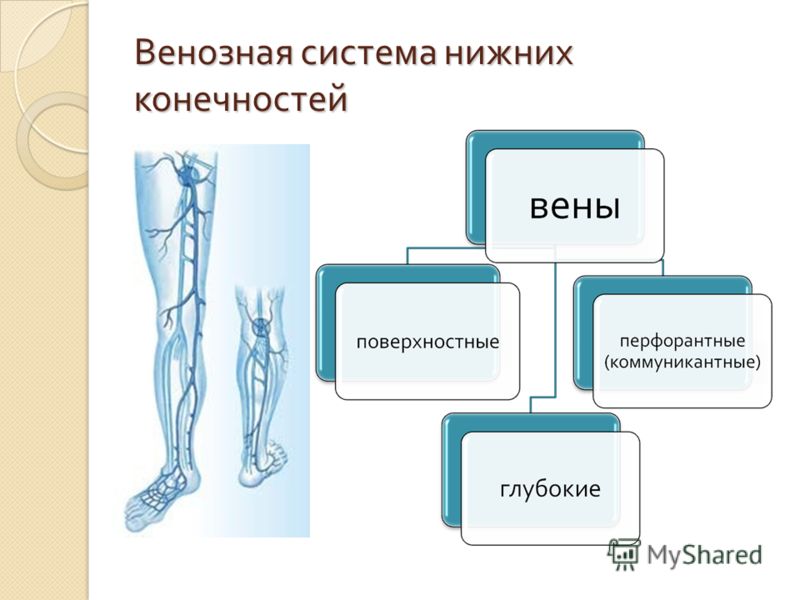 Варикозная болезнь нижних конечностей это