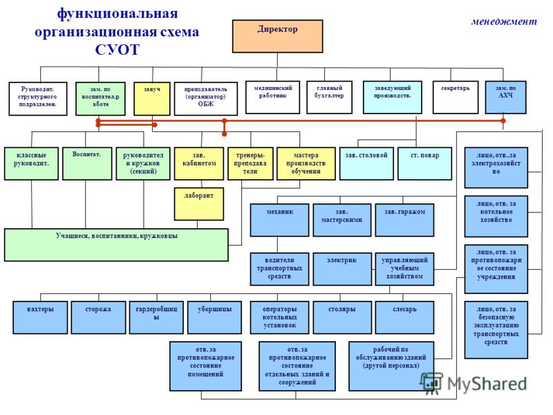 Специалист Руководитель Структурного Подразделения