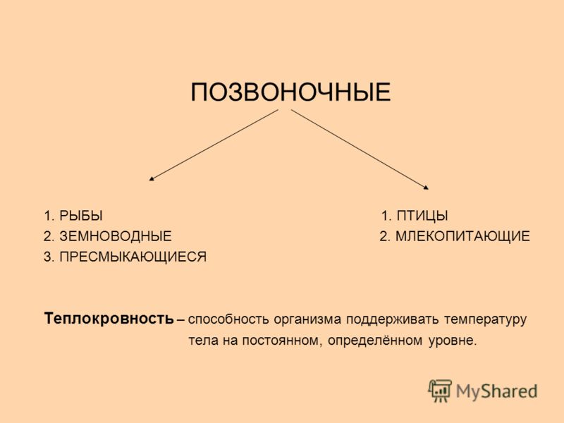 тепловой удар у птицы