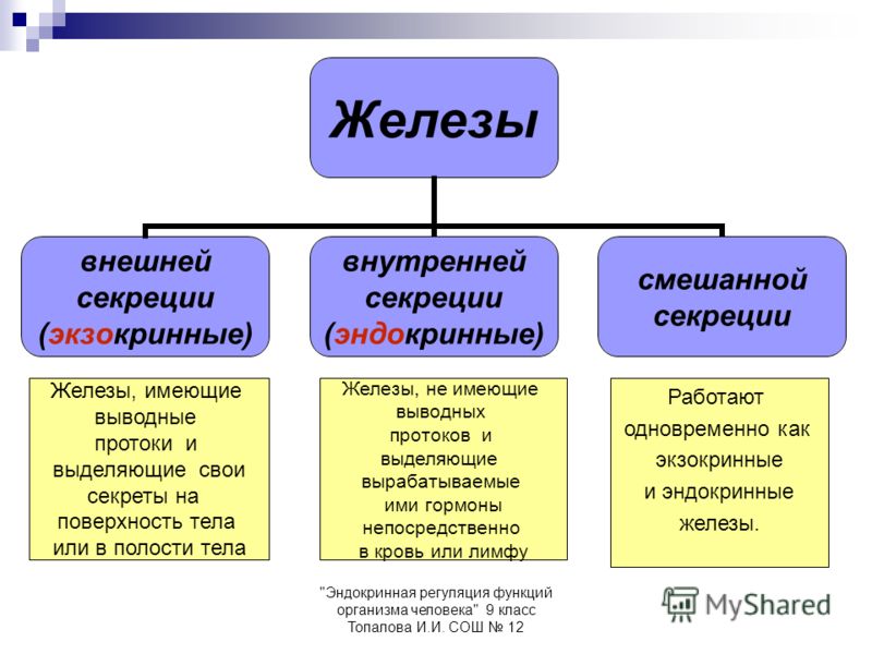 очистка организма от паразитов в домашних условиях очистка организма от паразитов в домашних условиях