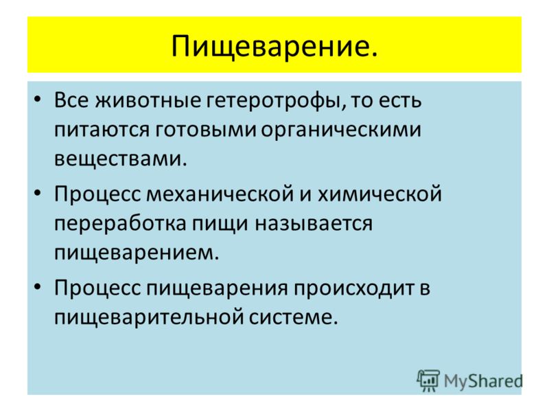 паразиты от птиц паразиты от птиц