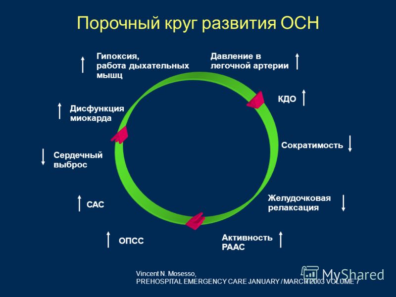Презентация На Тему Гипоксия Скачать Бесплатно Презентация На Тему Гипоксия Скачать Бесплатно