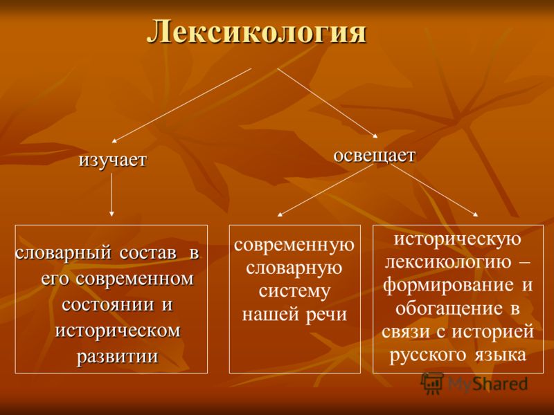 доклады по информатике перфокарты и автоматизация