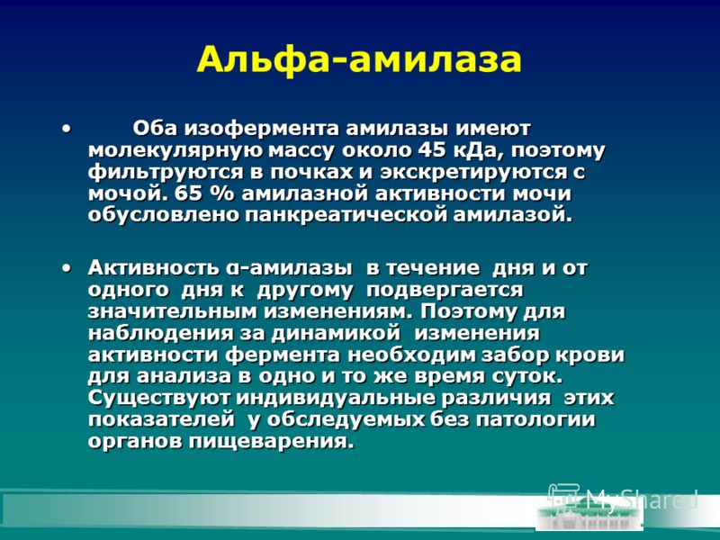 2 неделя беременности у кошки. 2 неделя беременности у кошки.