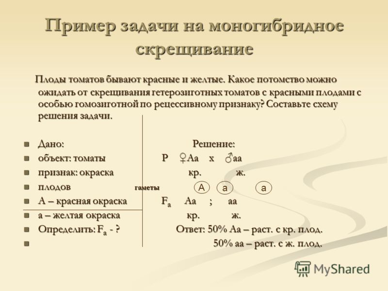 ВЯЖУ САМА Модели и Схемы Вязания Спицами и 24 ВЯЖУ САМА Модели и Схемы Вязания Спицами и 19