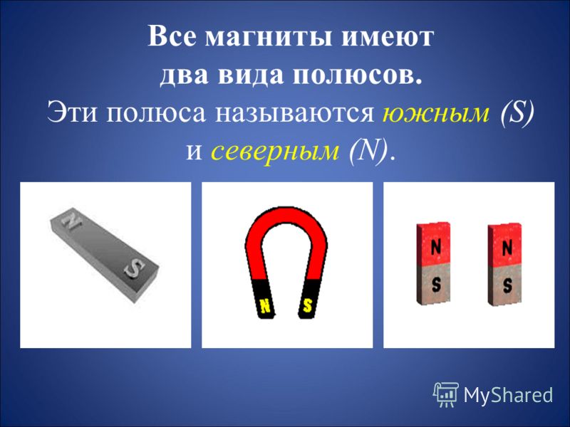 Герасимов учебник географии 6 класс