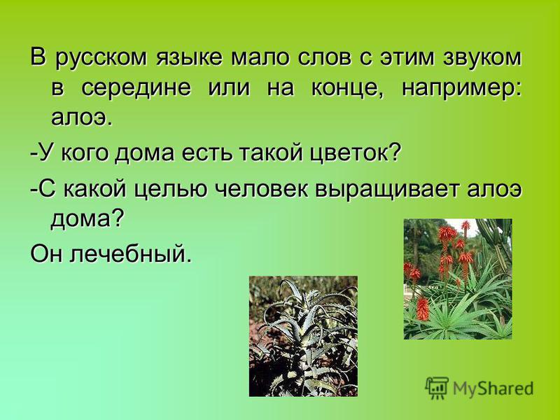 Семена льна для увеличения бюста Семена льна для увеличения бюста