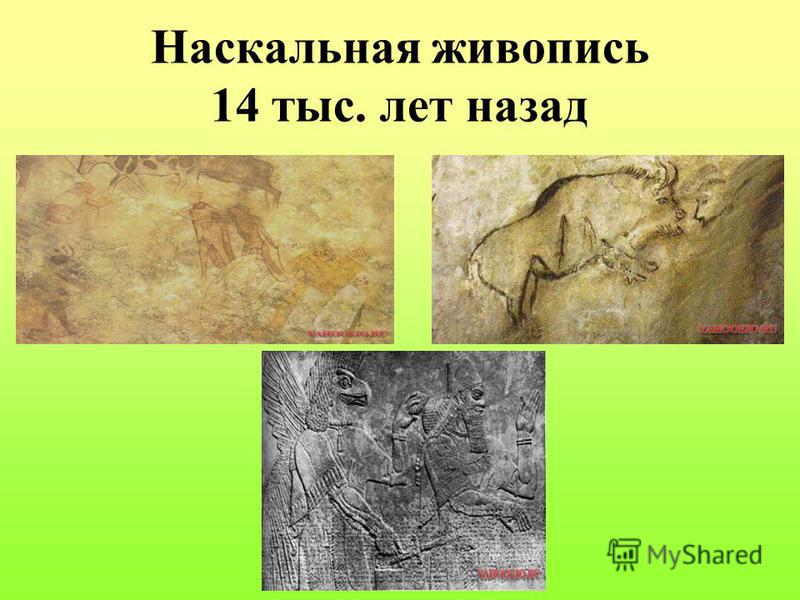 book функциональная анатомия