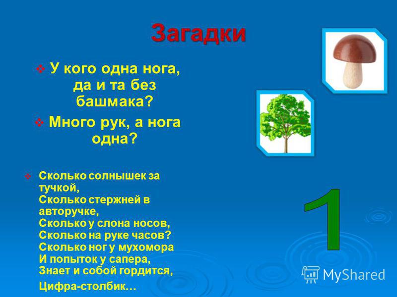 Девочка со статусом на удочерение в г. Бердск Выпускной в 4 классе: сценарий, песни, конкурсы, подарки