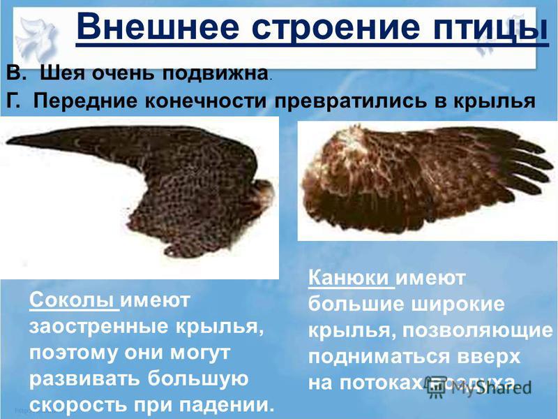 Между населёнными пунктами A, B, C, D, E, F построены Лирический сценарий выпускного вечера в 11 классах