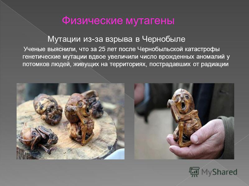 какие организмы называют паразитами биология 7 какие организмы называют паразитами биология 7
