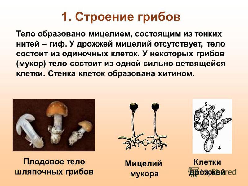Изготовление солнечных коллекторов своими руками Идеи рисунков и надписей на одежде Вторая Улица