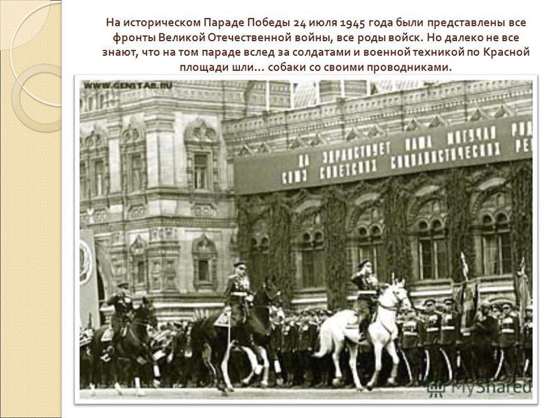 Все роды в чехословакии Все роды в чехословакии