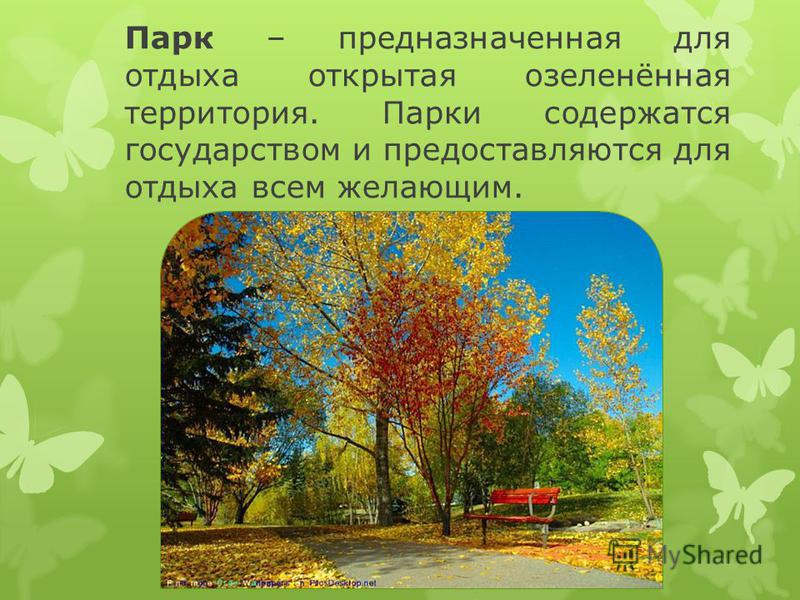 Загадки парк