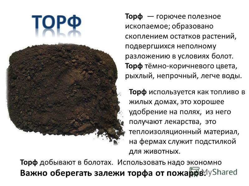 Подкормка рассады огурцов и их 66 Подкормка рассады огурцов и их 26