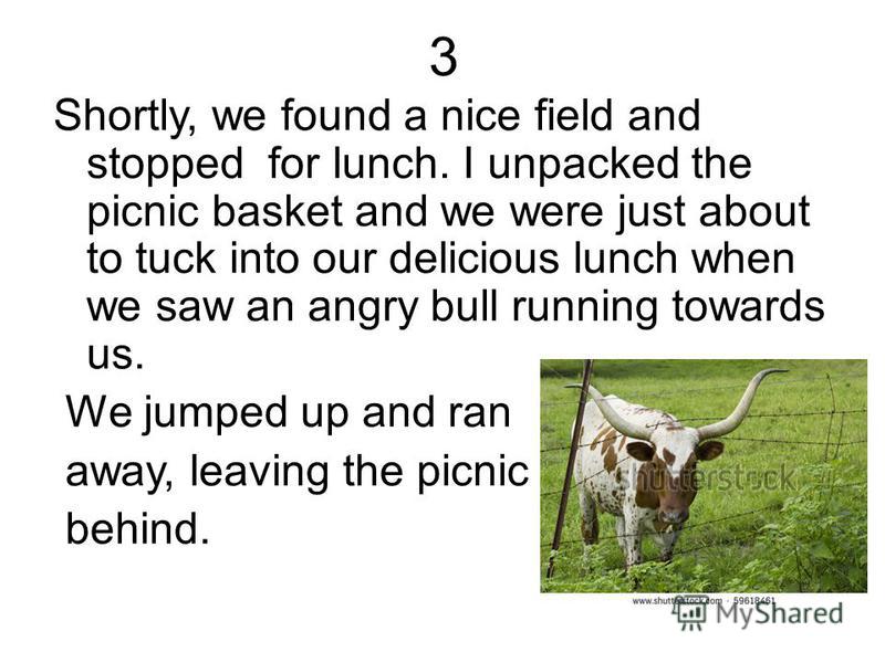 3 Shortly, we found a nice field and stopped for lunch. I unpacked the picnic basket and we were just about to tuck into our delicious lunch when we saw an angry bull running towards us. We jumped up and ran away, leaving the picnic behind.