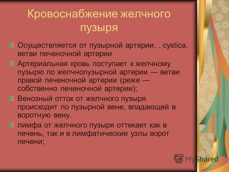 Где Расположен Желчный Пузырь У Человека Фото Где Расположен Желчный Пузырь У Человека Фото