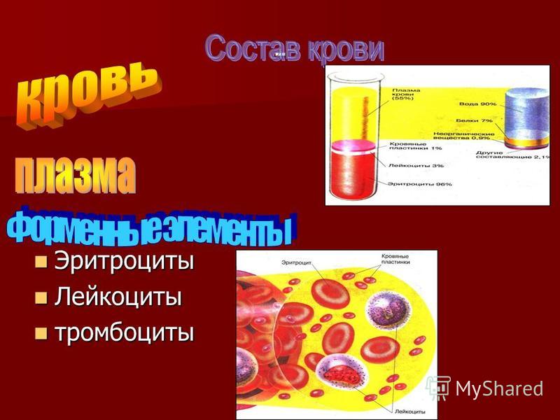 - Эритроциты Эритроциты Лейкоциты Лейкоциты тромбоциты тромбоциты