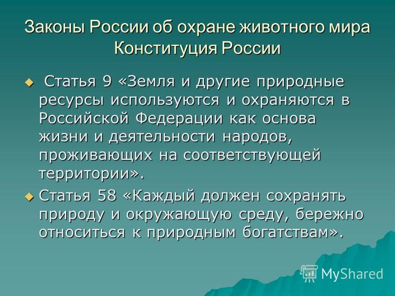 Контрольная работа по теме Охрана окружающей среды и рациональное использование природных ресурсов в России