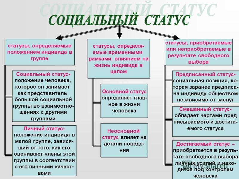 Мое отношение к литературной норме Мое отношение к литературной норме