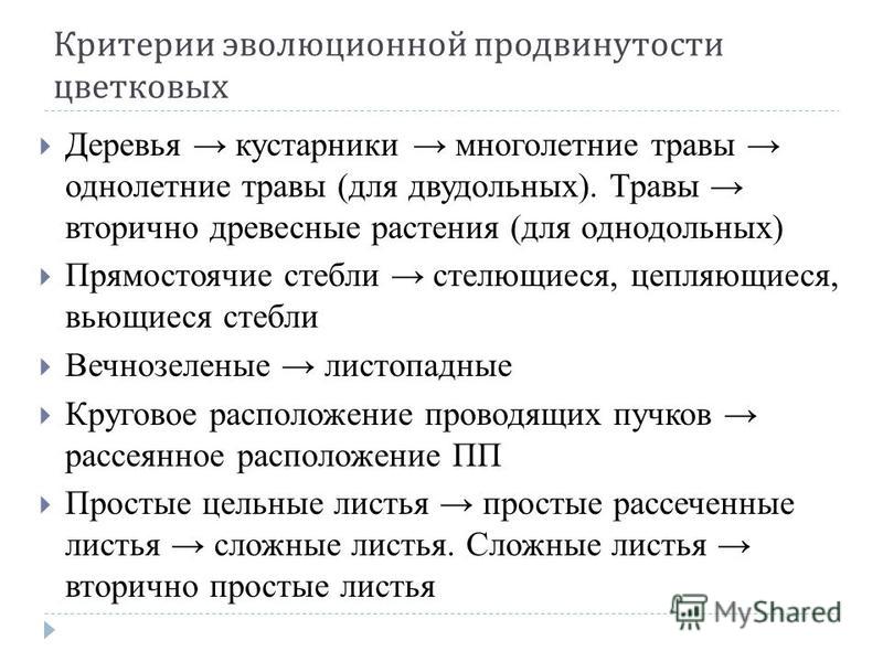 Однодольные растения и в нем семена Однодольные растения и в нем семена