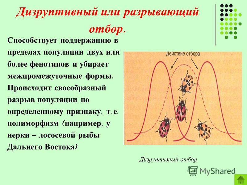 Церковные поздравления с днем рождения мужчине в прозе Церковные поздравления с днем рождения мужчине в прозе