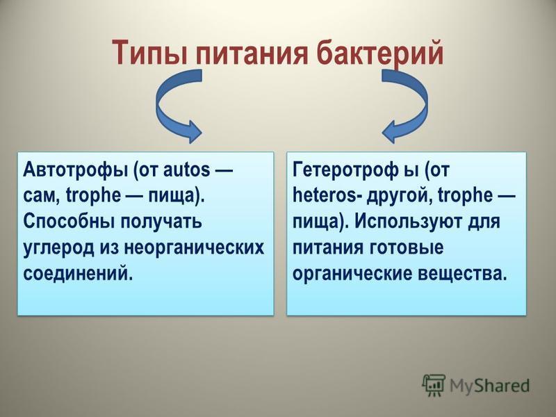 полезны паразиты человека полезны паразиты человека