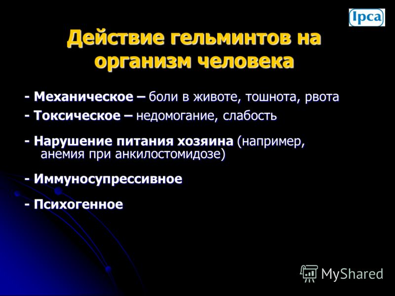 Самое наилучшее средство от глистов