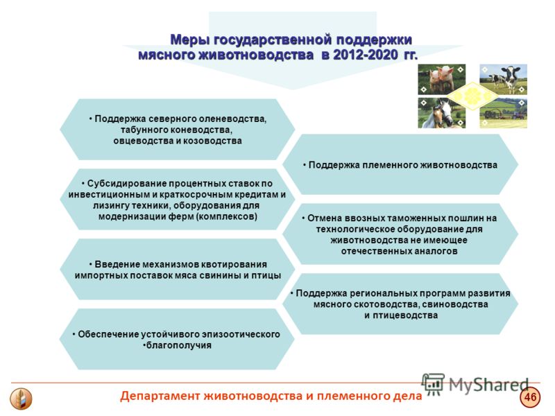 Презентация на тему: «Состояние отрасли  животноводства РФ и