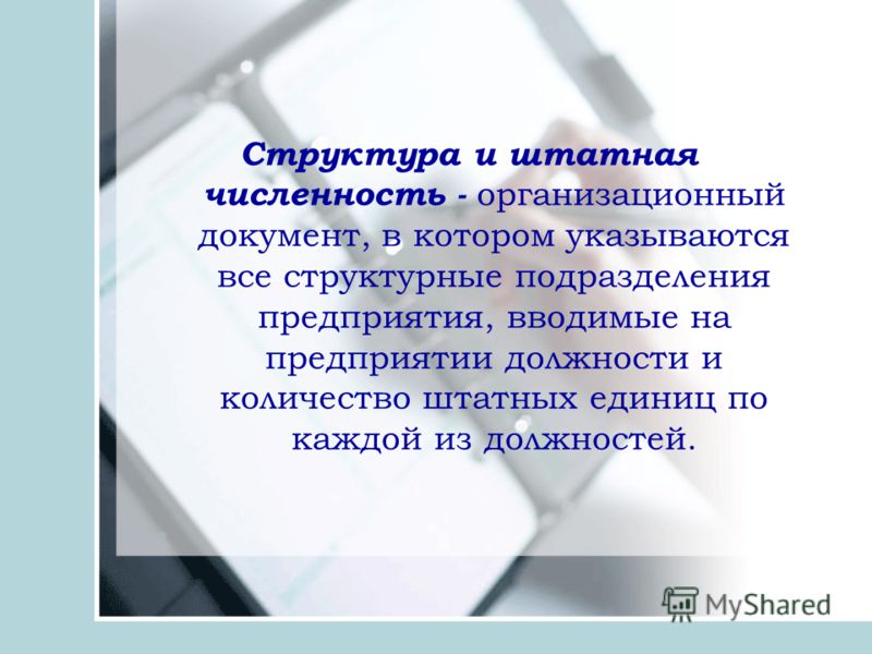 Должностные инструкции Делопроизводителя в Организации