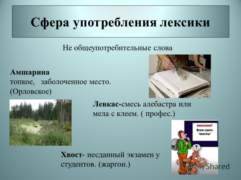 Где касательные встречаются манга читать