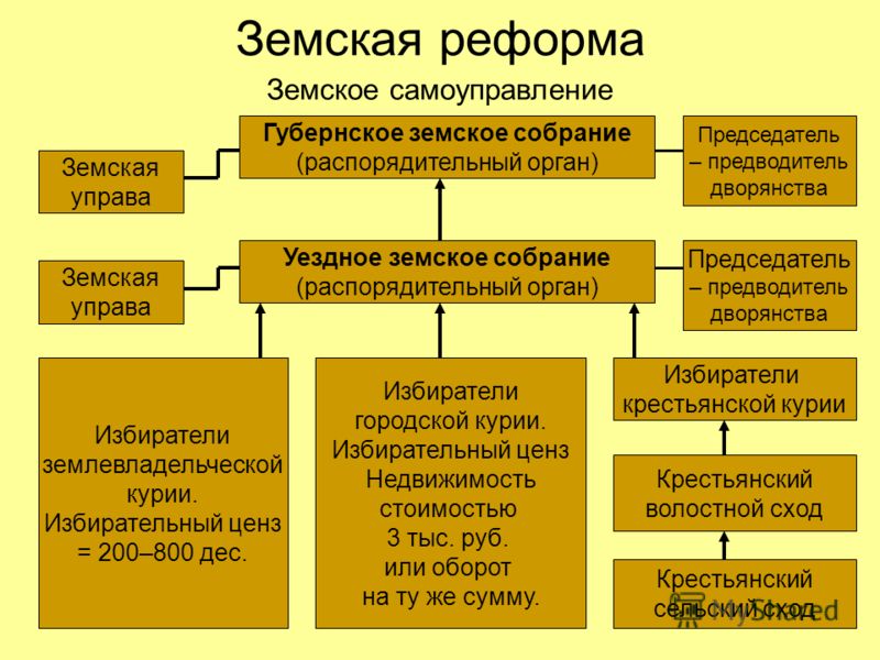 Презентация Презентация