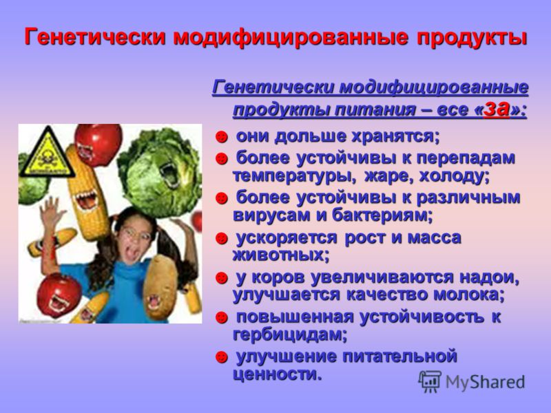 genetically modified foods cause autism essay genetically modified foods cause autism essay